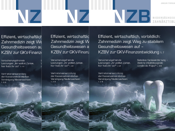 NZB Januar 2026 Vorschau. Drei überlappende NZBs